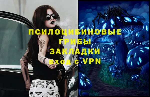 стафф Кодинск