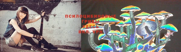 стафф Кодинск