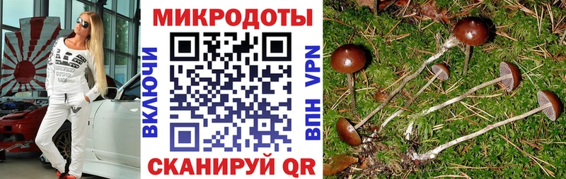 Купить закладки  Сретенск  Галлюциногенные грибы MAGIC MUSHROOMS 
